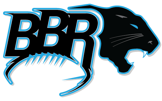 Download PNG image - Carolina Panthers Transparent Background 