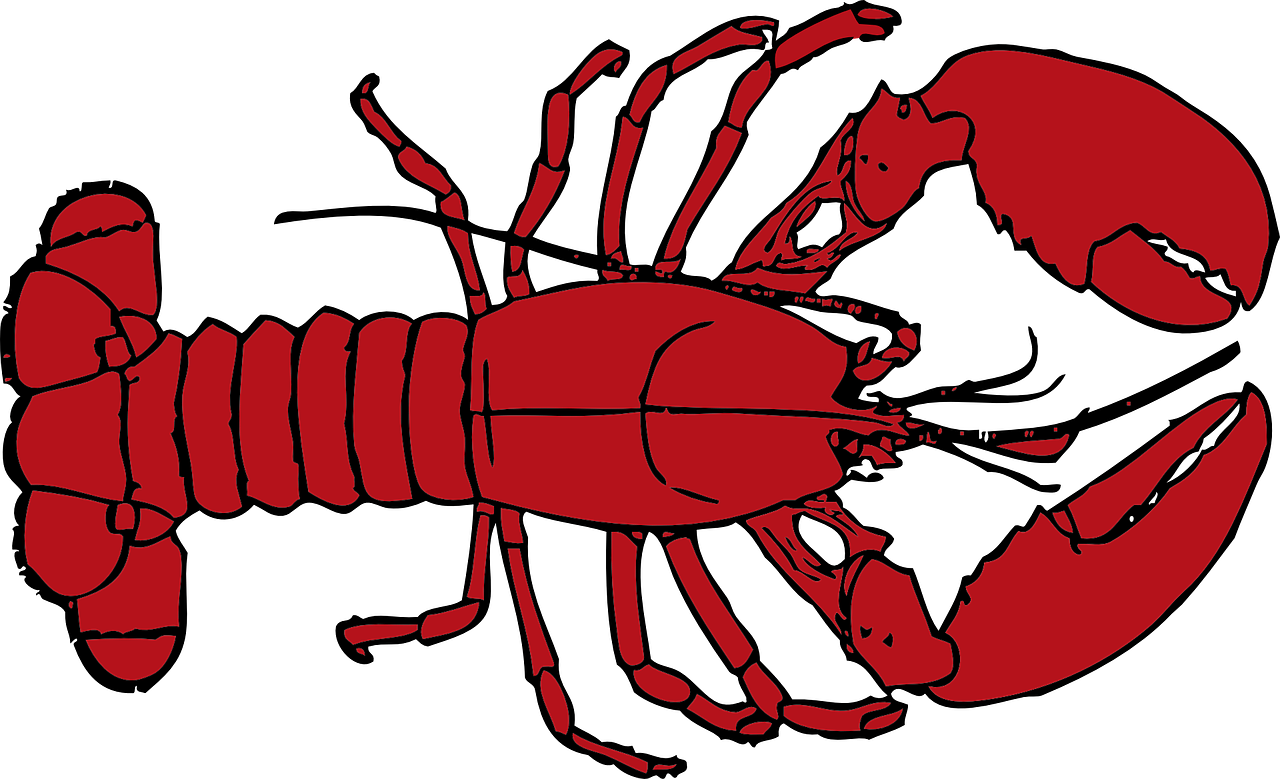 Download PNG image - Crawfish Vector PNG Picture 