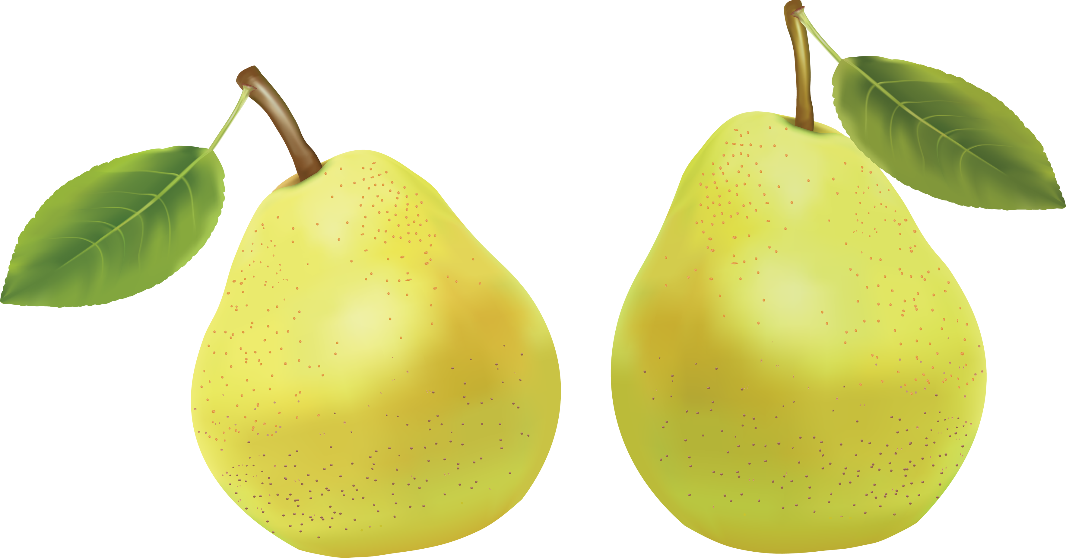 Download PNG image - Fresh Green Pears PNG Clipart 