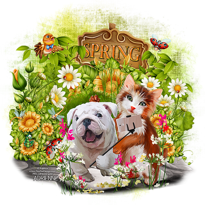 Download PNG image - Hello Spring Vector PNG 
