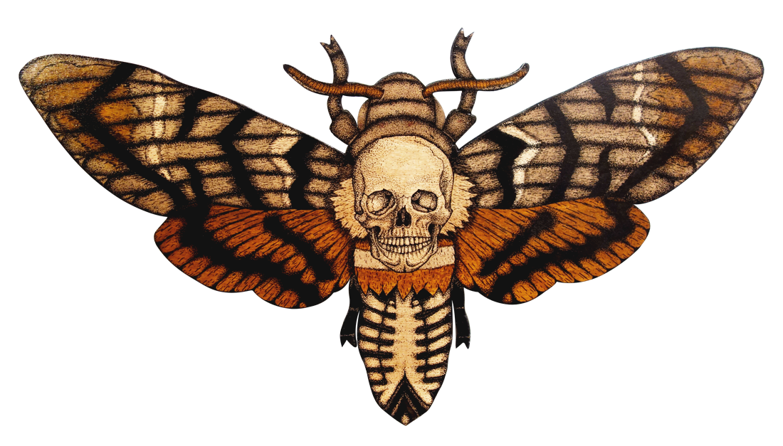 Download PNG image - Moth PNG Transparent HD Photo 