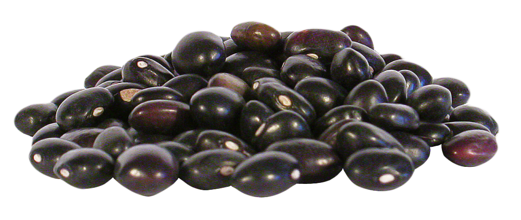 Download PNG image - Black Kidney Beans PNG 