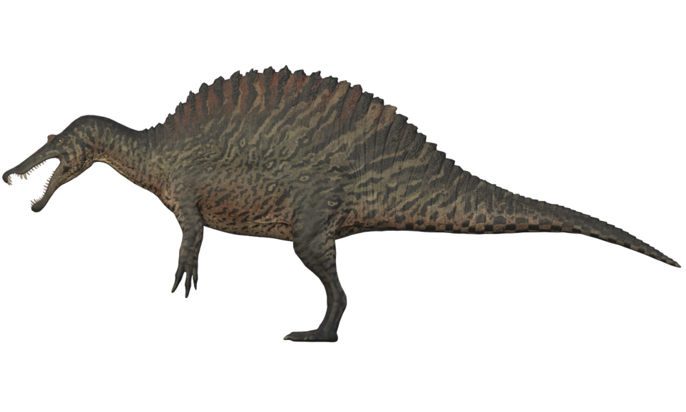 Download PNG image - Spinosaurus PNG Background Image 
