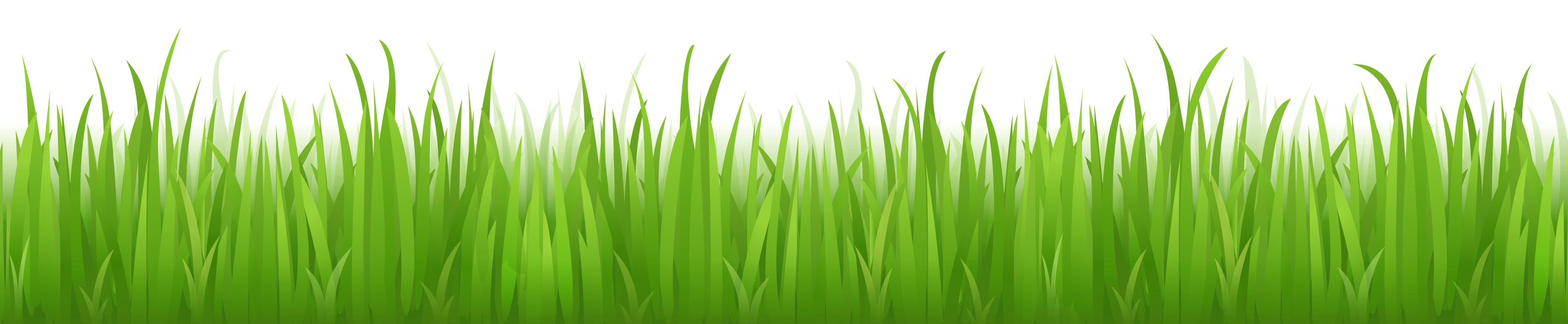 Download PNG image - Lawn Grass PNG Isolated Photos 