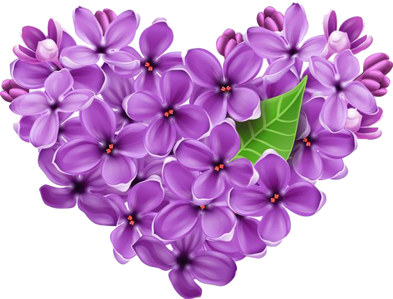 Download PNG image - Lilac Transparent Background 