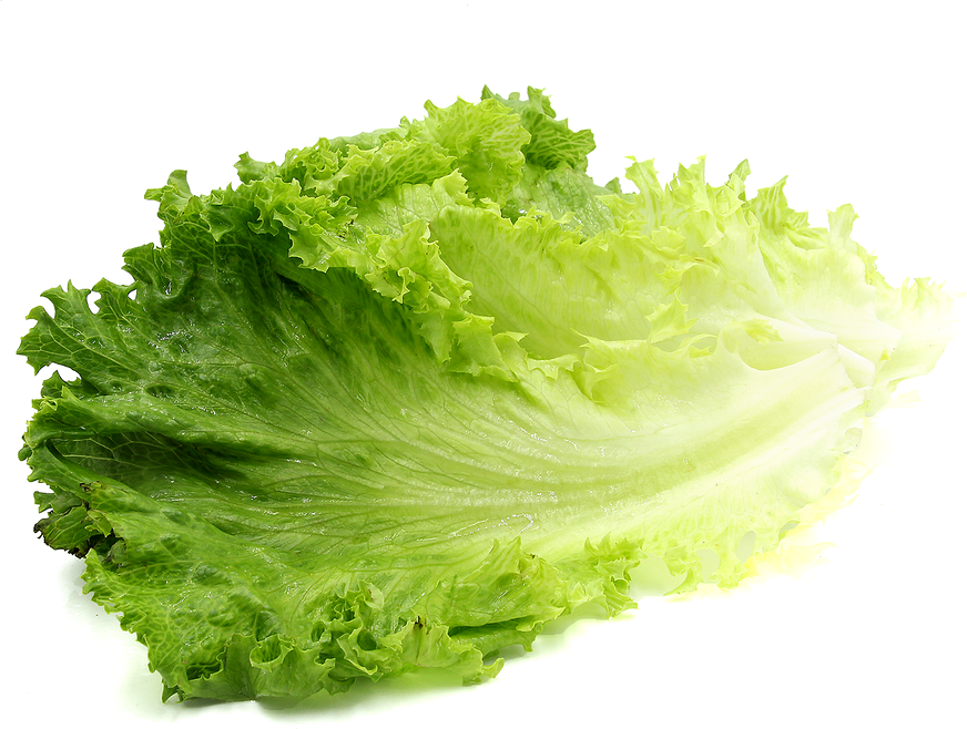 Download PNG image - Organic Green Lettuce PNG Image 