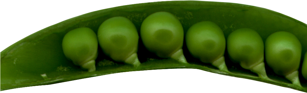 Download PNG image - Organic Green Pea Transparent PNG 