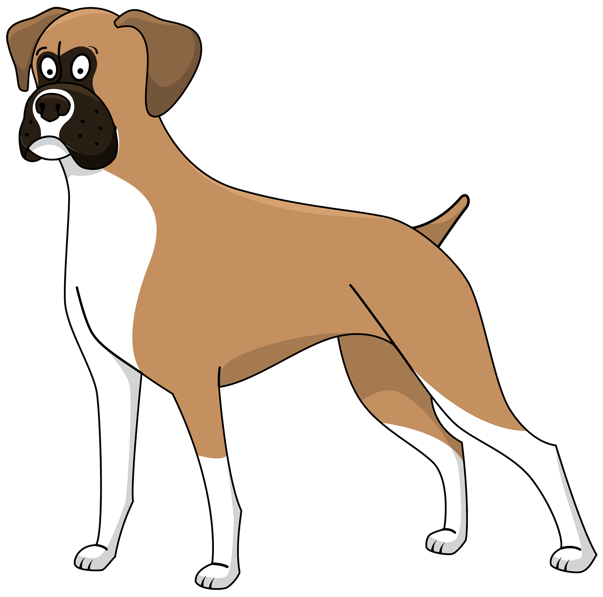 Download PNG image - Boxer Dog Clipart PNG 