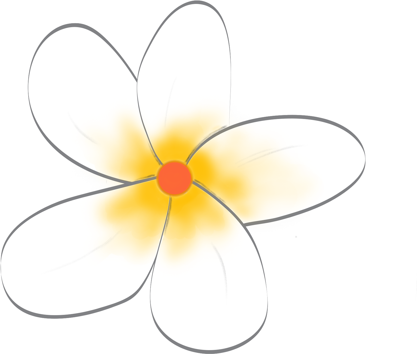 Download PNG image - Frangipani White Flower PNG Clipart 