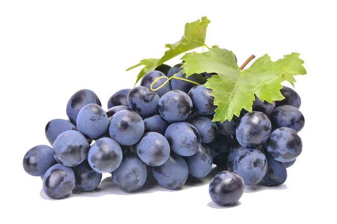 Download PNG image - Fruit Black Grapes Transparent PNG 