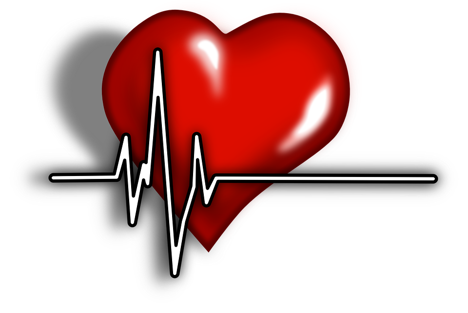 Download PNG image - Heart Lifeline PNG Image 