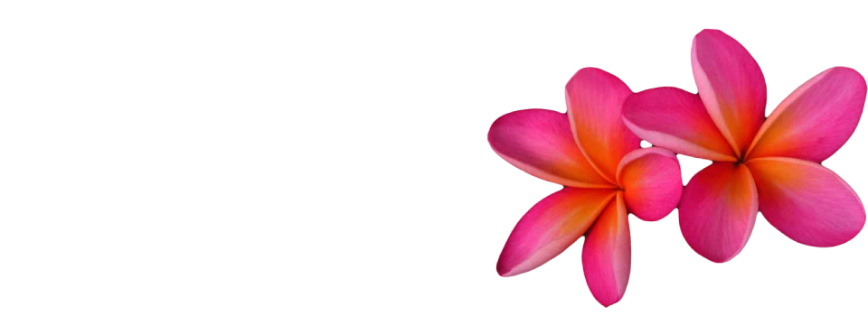 Download PNG image - Pink Frangipani Flower PNG Image 