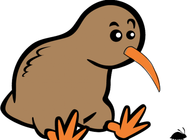 Download PNG image - Vector Kiwi Bird PNG Transparent Image 