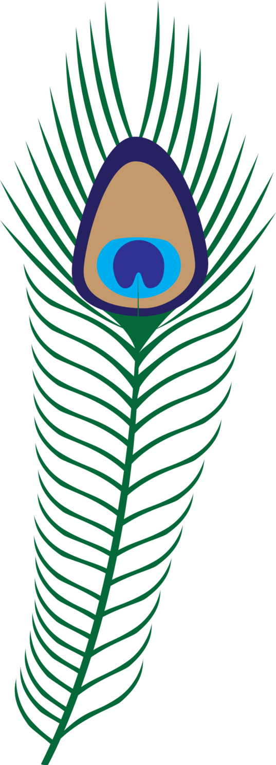 Download PNG image - Vector Peacock Feather PNG Pic 