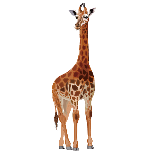 Download PNG image - African Giraffe PNG Pic 