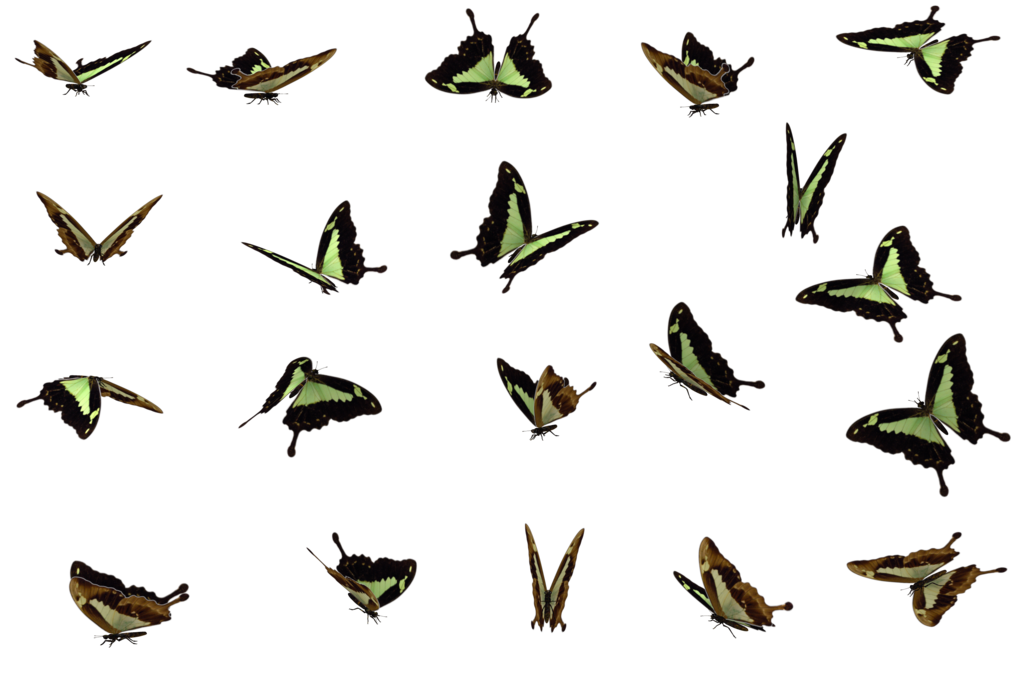 Download PNG image - Butterflies Swarm PNG File 