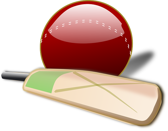 Download PNG image - Cricket Bat PNG Image 