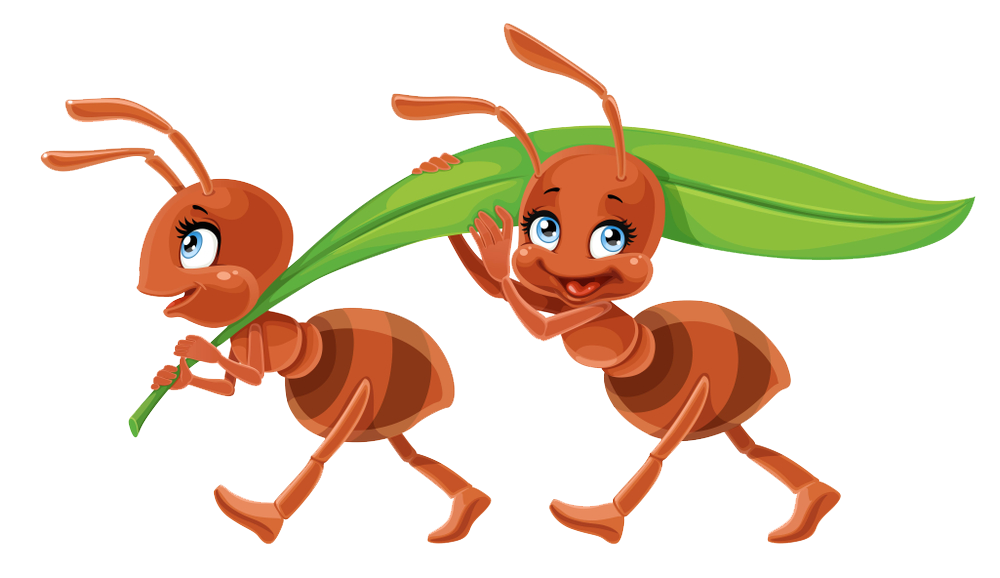 Download PNG image - Vector Ant PNG Photo 