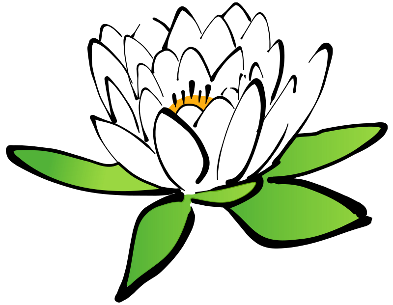 Download PNG image - Vector Lotus Flower PNG Transparent Image 
