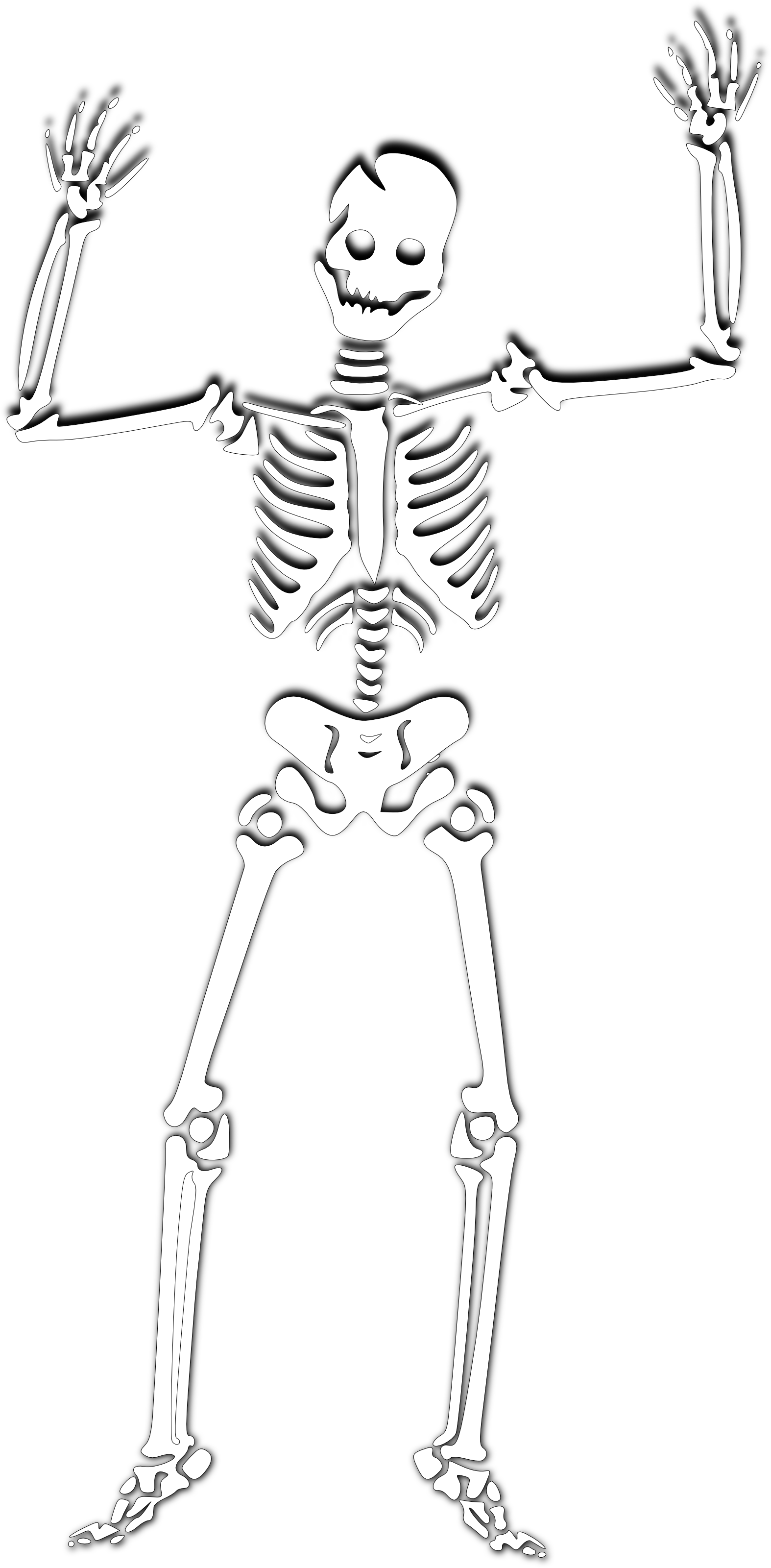 Download PNG image - Halloween Skeleton PNG Photos 