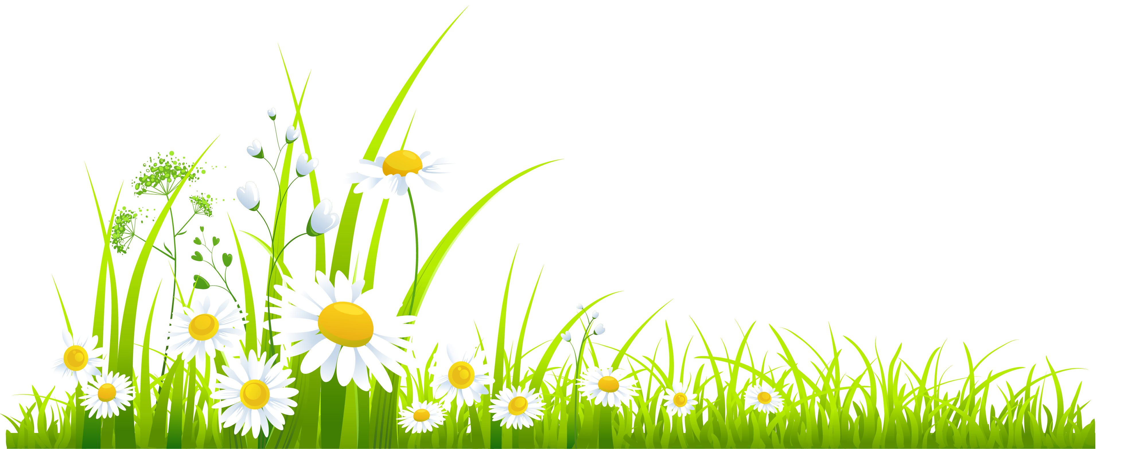 Download PNG image - Spring Flowers PNG Isolated Photos 