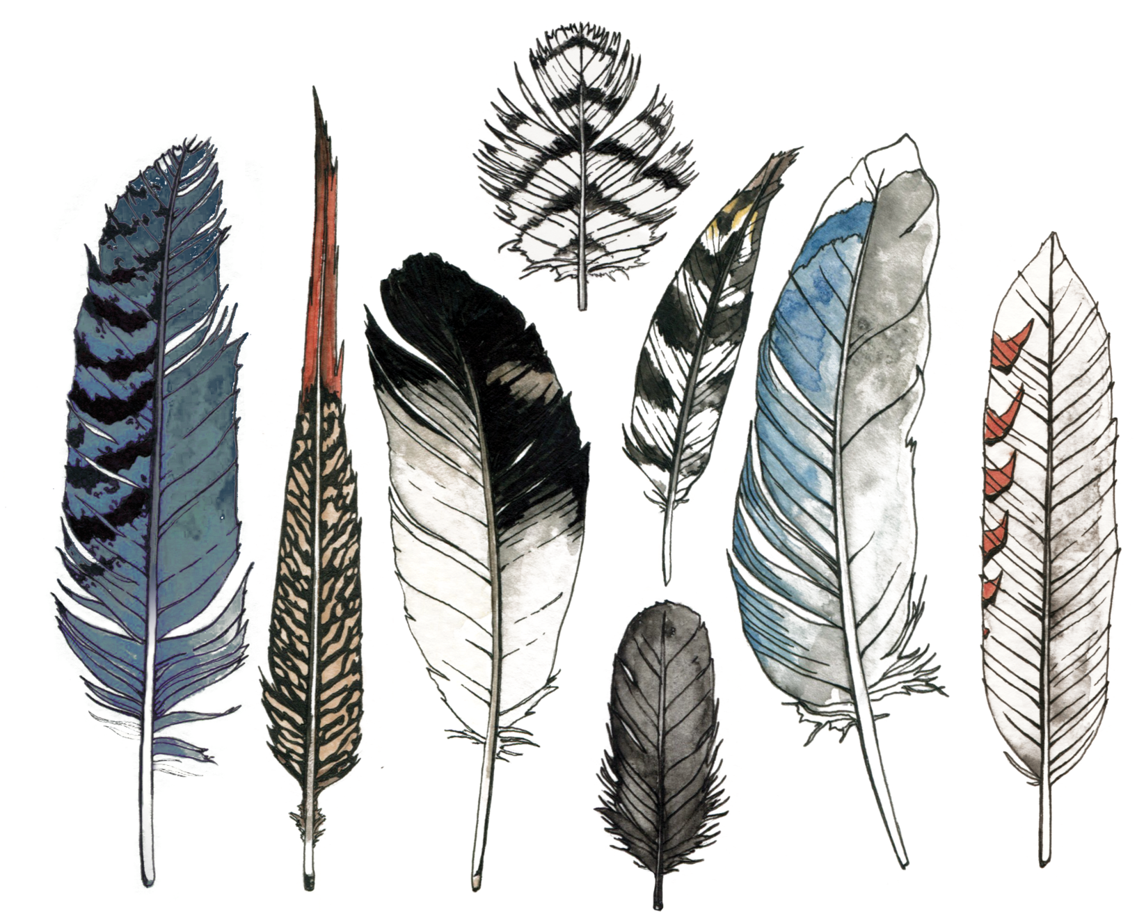 Download PNG image - Watercolor Feather PNG File 
