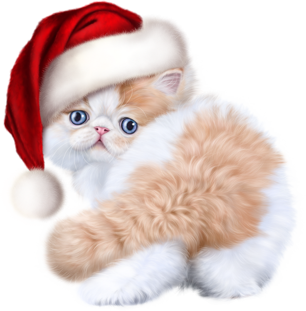 Download PNG image - Christmas Kitten PNG Photos 