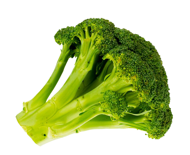 Download PNG image - Green Broccoli Transparent Background 
