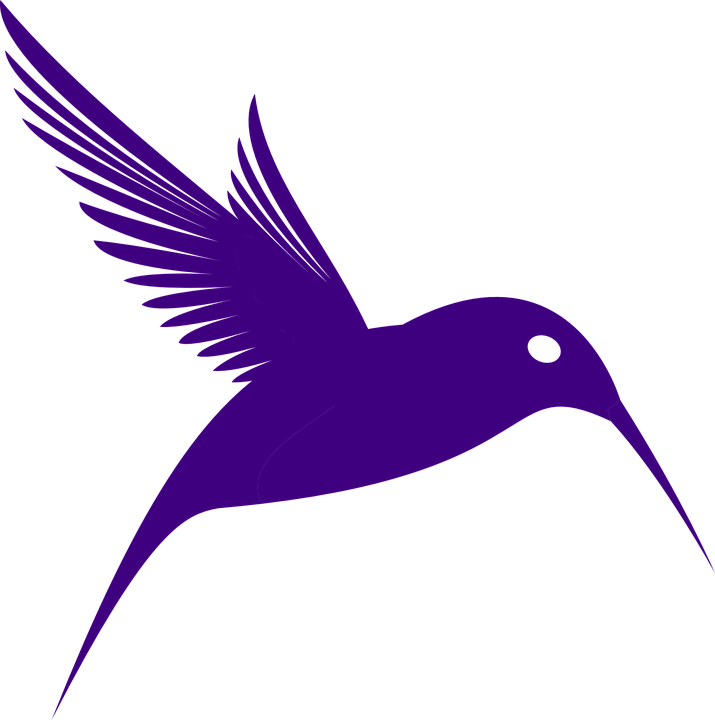 Download PNG image - Vector Watercolor Hummingbird PNG Image 