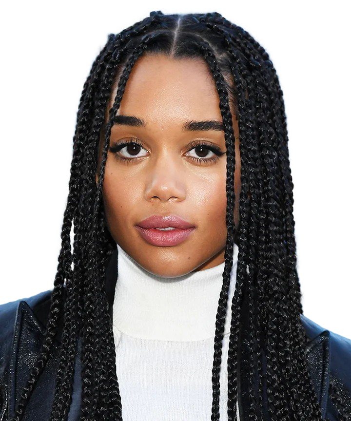 Download PNG image - Braids Hairstyle PNG Picture 