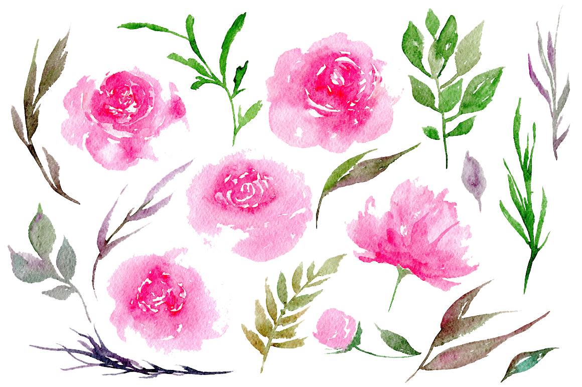 Download PNG image - Peonies PNG Clipart 