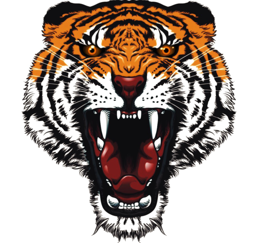 Download PNG image - Tiger Tattoos PNG Pic 
