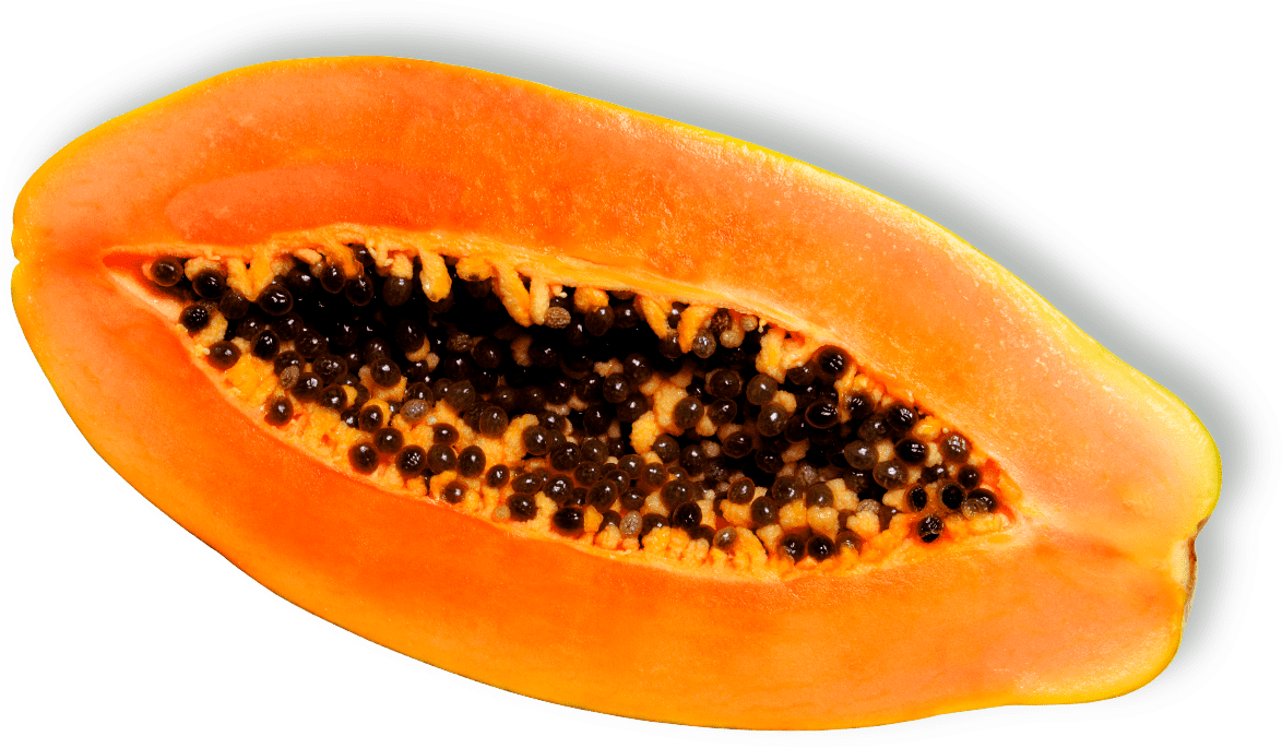 Download PNG image - Fresh Half Papaya PNG Transparent Image 