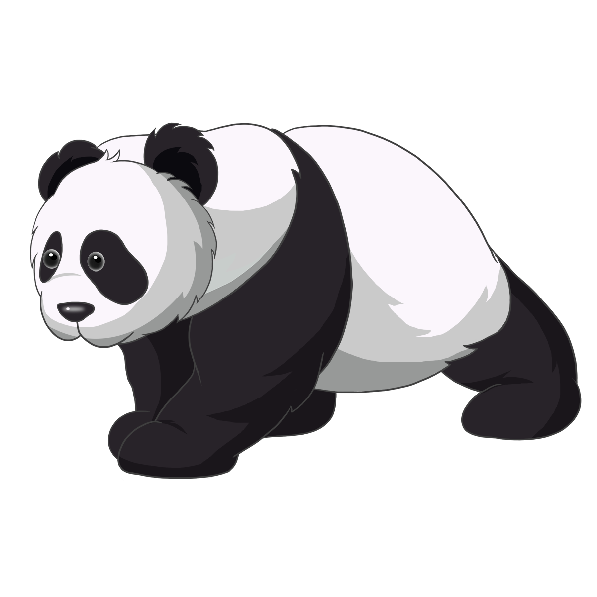 Download PNG image - Giant Pandas PNG Clipart 