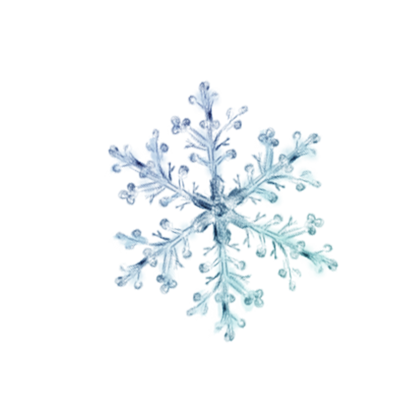 Download PNG image - Snowflake PNG Transparent 