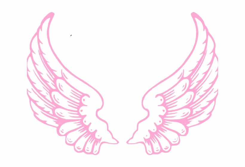 Download PNG image - Vector Angel Wings PNG Image 