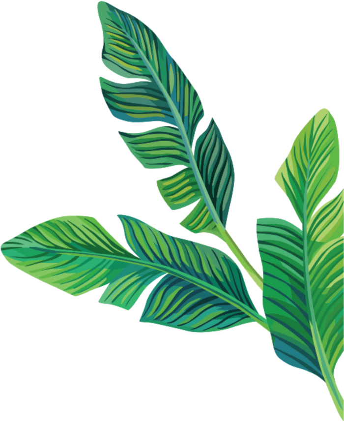 Download PNG image - Aesthetic Leaves PNG Transparent 