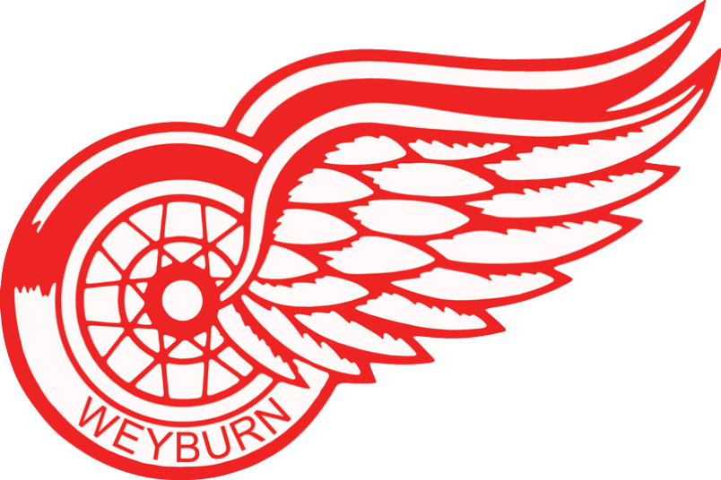 Download PNG image - Detroit Red Wings PNG 