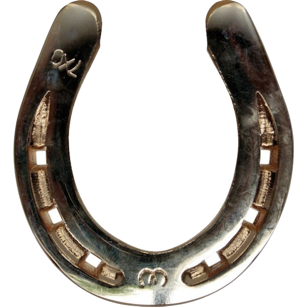 Download PNG image - Silver Horseshoe PNG Photos 
