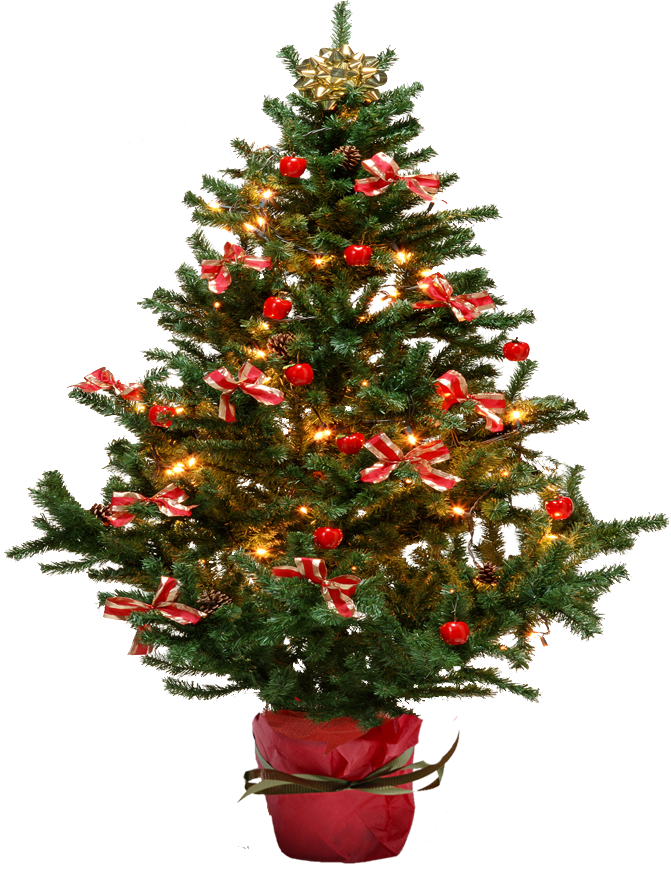 Download PNG image - Christmas Tree PNG Picture 