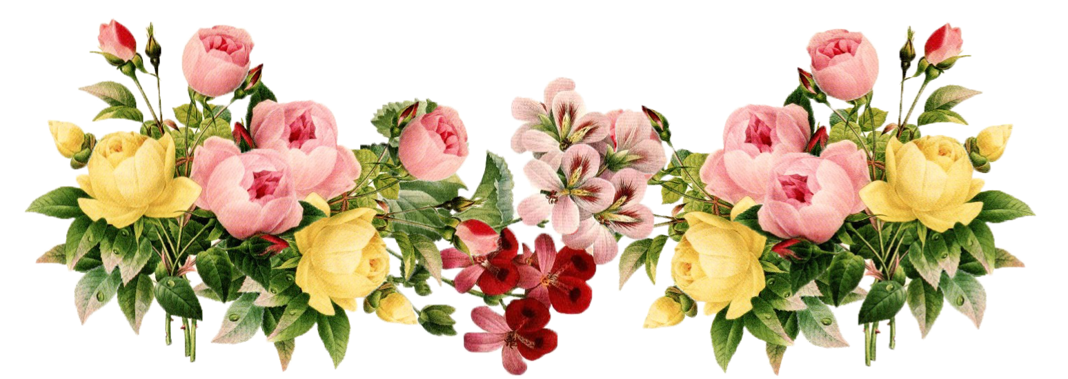 Download PNG image - Floral PNG Transparent Picture 
