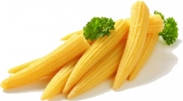 Download PNG image - Fresh Baby Corn Cobs Transparent PNG 