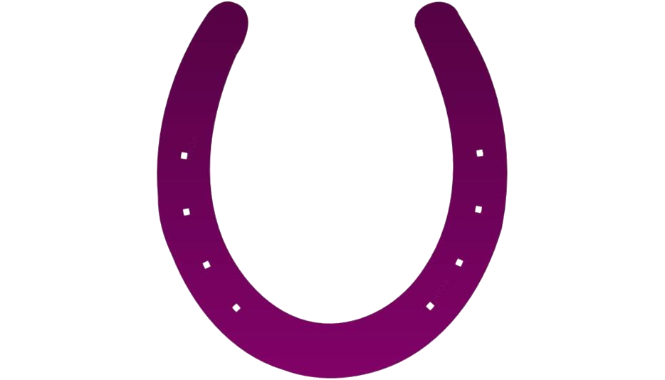 Download PNG image - Horseshoe PNG Pic 