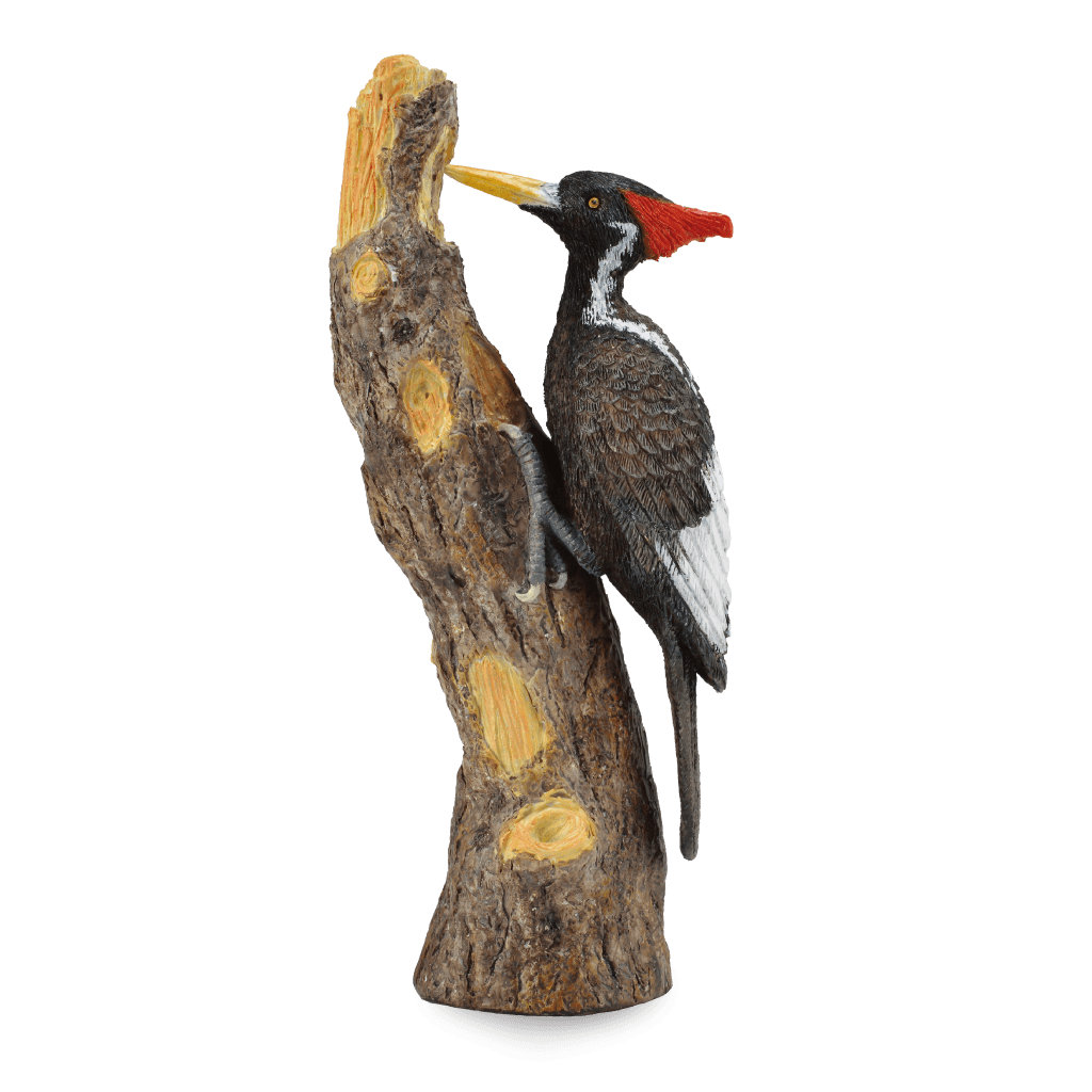 Download PNG image - Woody Woodpecker PNG Transparent Image 
