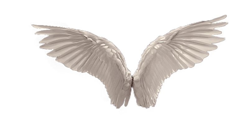 Download PNG image - Angels Wing Download PNG Image 