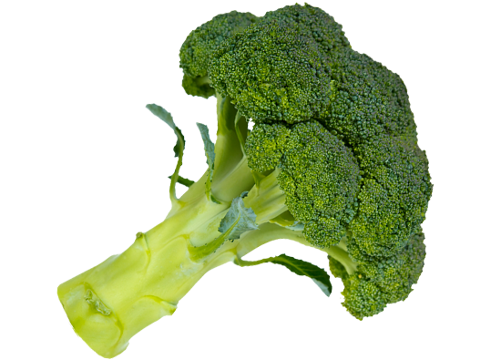 Download PNG image - Broccoli PNG HD Photo 