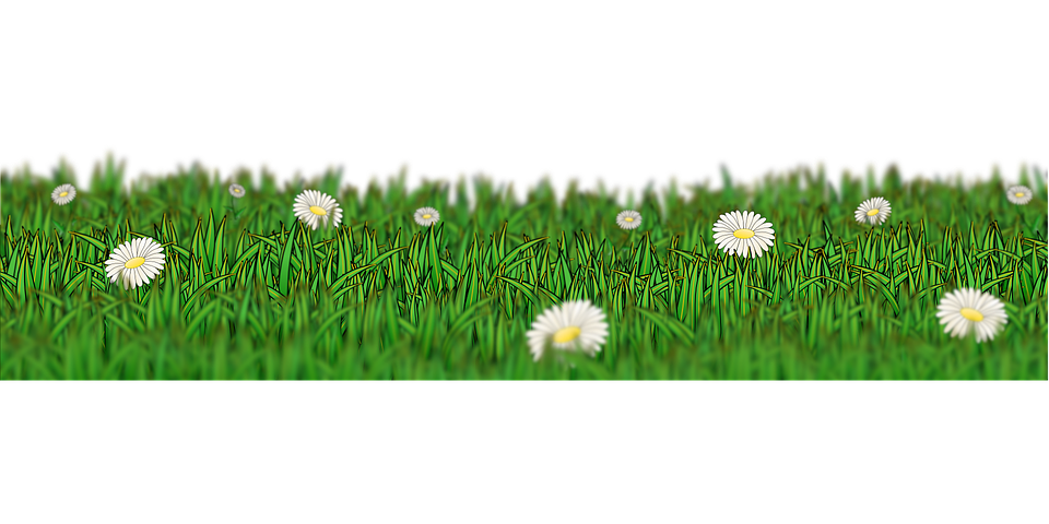 Download PNG image - Field Meadow PNG Image 