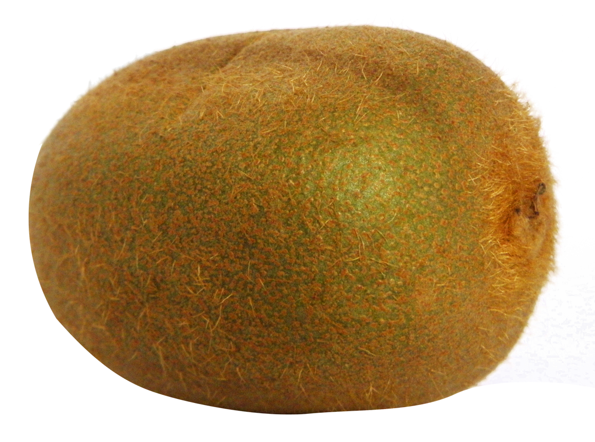 Download PNG image - Kiwi Fruit PNG File 
