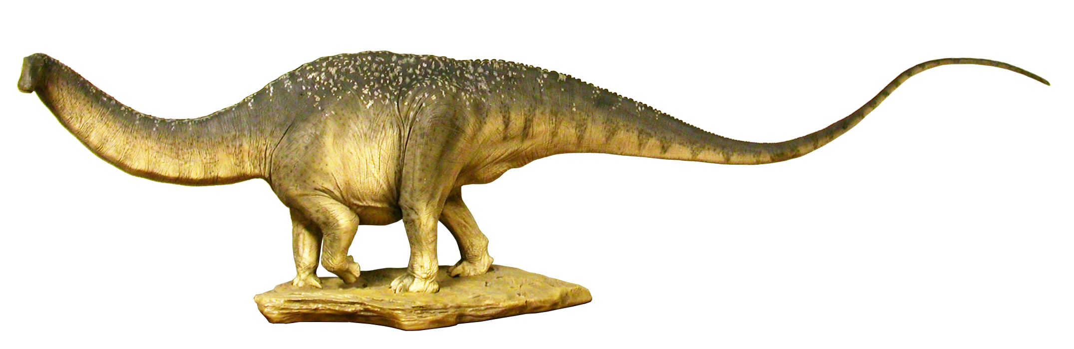 Download PNG image - Sauropod PNG Clipart 