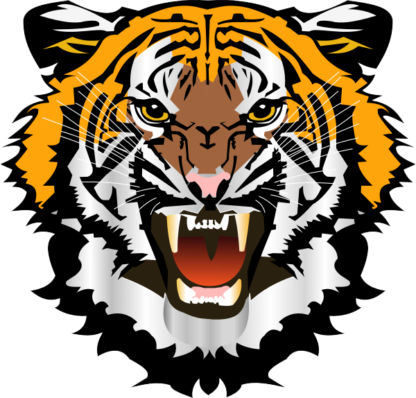 Download PNG image - Tiger Face PNG File 